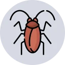 cockroach control